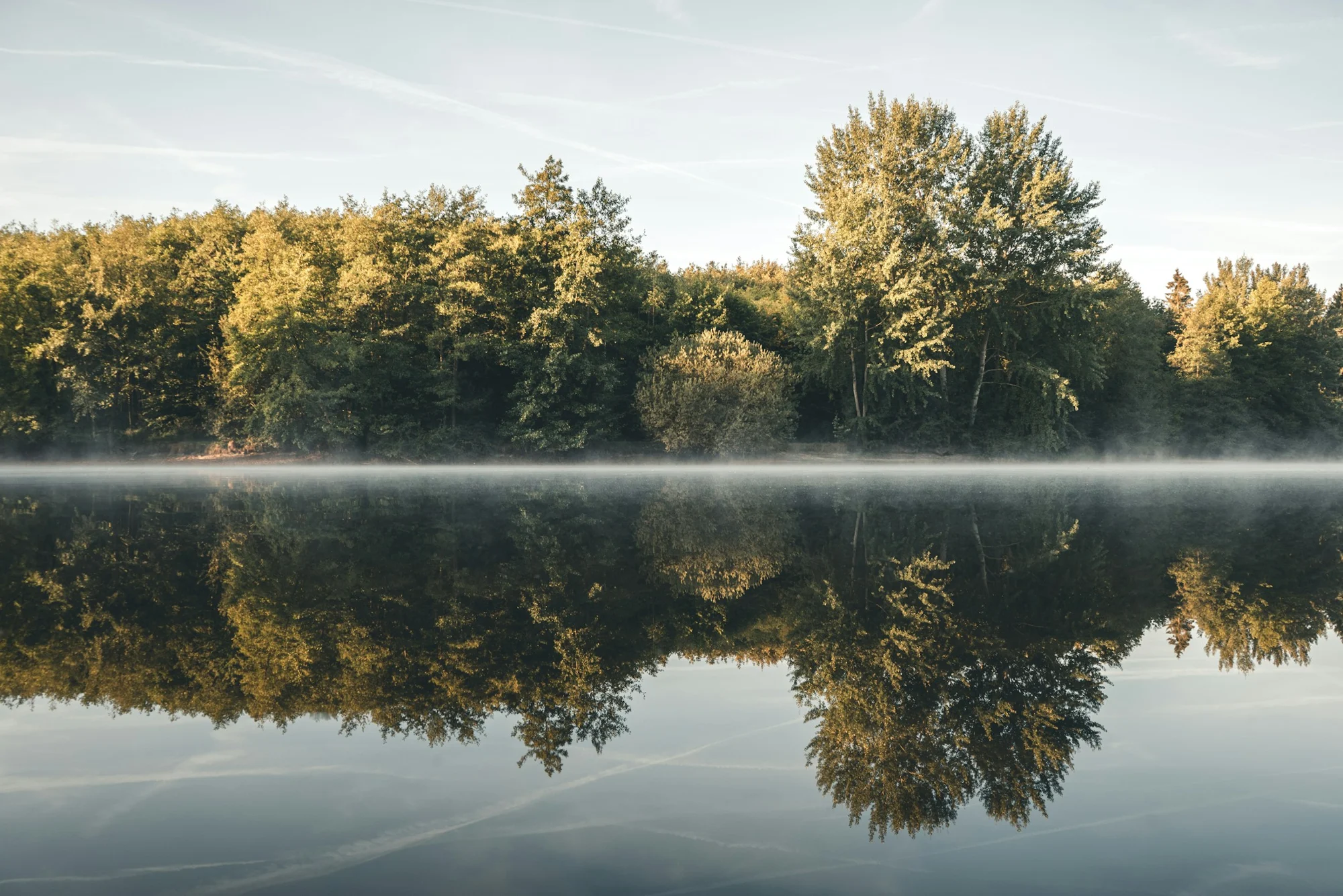 Sunlit trees reflected in a calm lake, with a light veil of morning mist